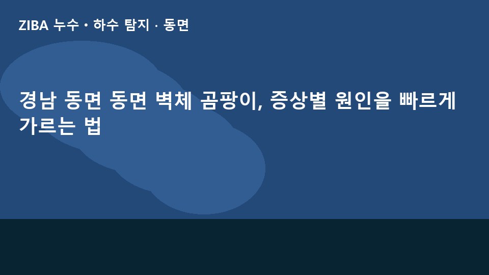 경남 동면 동면 벽체 곰팡이, 증상별 원인을 빠르게 가르는 법