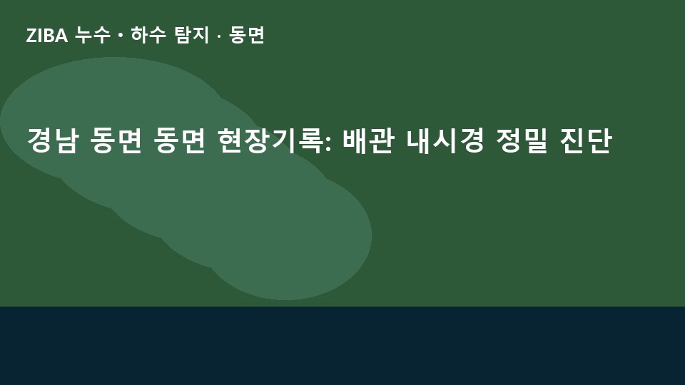 경남 동면 동면 현장기록: 배관 내시경 정밀 진단
